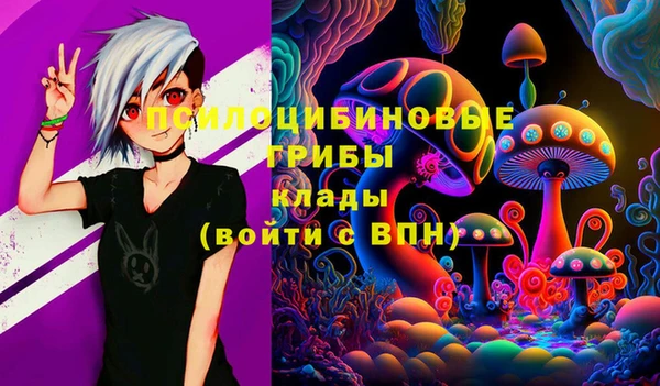 COCAINE Краснослободск