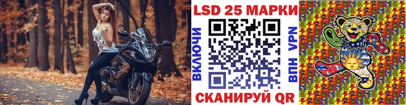 дарнет шоп  Советская Гавань  ОМГ ОМГ tor  Марки NBOMe 1,8мг 