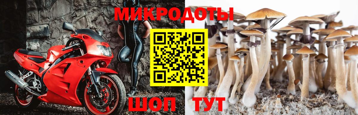 Галлюциногенные грибы Magic Shrooms Советская Гавань