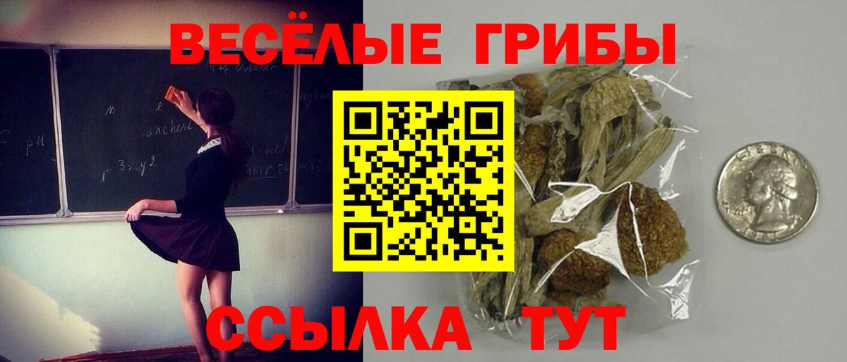купить закладку  Галлюциногенные грибы ЛСД  Псилоцибиновые грибы GOLDEN TEACHER  Вход с VPN  Советская Гавань 